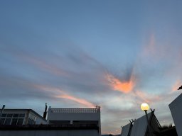 157-02-01-2026 IMG_3353